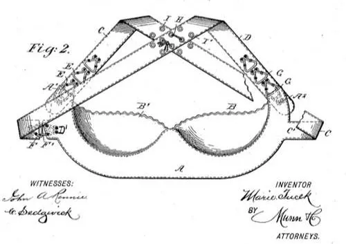О роли женщин в обществе и эволюции бюстгальтеров