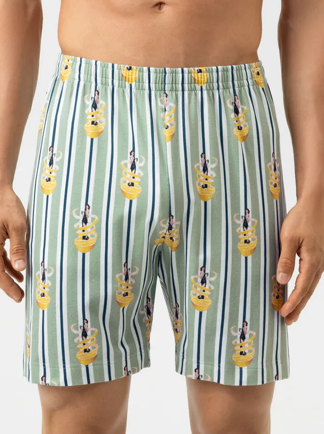 Мужские шорты для отдыха Mey 2220091 564 Мужские шорты для отдыха Mey 2220091 564