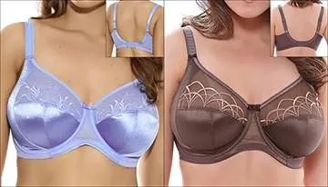 Elomi Caitlin и Elomi Cate – в чём разница?