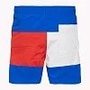 Пляжные плавки-шорты для мальчиков Tommy Hilfiger 935