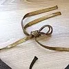 Верх купальника Beliza Kate - плотные чашки - черный