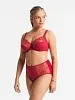 Высокие трусы Louisa Bracq Julia 477 50 RAL