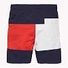 Пляжные плавки-шорты для мальчиков Tommy Hilfiger 416