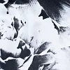 Трусы-слип Louisa Bracq Mapple Flower 504 30 - SMK