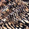 Miraclesuit утягивающий купальник 6536617 Dali Leopard