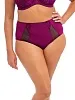 Высокие трусы Elomi Brianna 8085 BLY