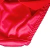 Роскошные красные пин ап трусики Red rose