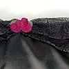 Роскошные пин ап трусики для особых случаев Black Maria