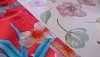 Высокие плавки Freya Wild Sun 2886
