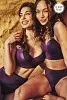 Высокие плавки Marlies Dekkers 36353 purple