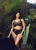 Elomi трусы Sachi 4354 BFL  - бабочки