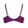 Бюстгальтер Lise Charmel Sublime en Dentelle H13 2813 6146