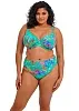 Верх купальника Elomi Toyama Tides 802202 JAE