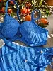 Топ с плотной чашкой Freya Nomad Nights - 205403 ALT