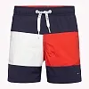 Пляжные плавки-шорты для мальчиков Tommy Hilfiger 416