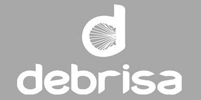 Debrisa (Дэбриза) - бразильская пляжная одежда и купальники класса люкс