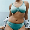 Классические трусы Chantelle Hedona 2033 A27