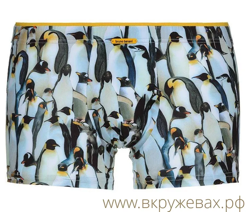 Трусы Bruno Banani Polar trip - пингвины — 22021507 — купить, доставка в  551 город России